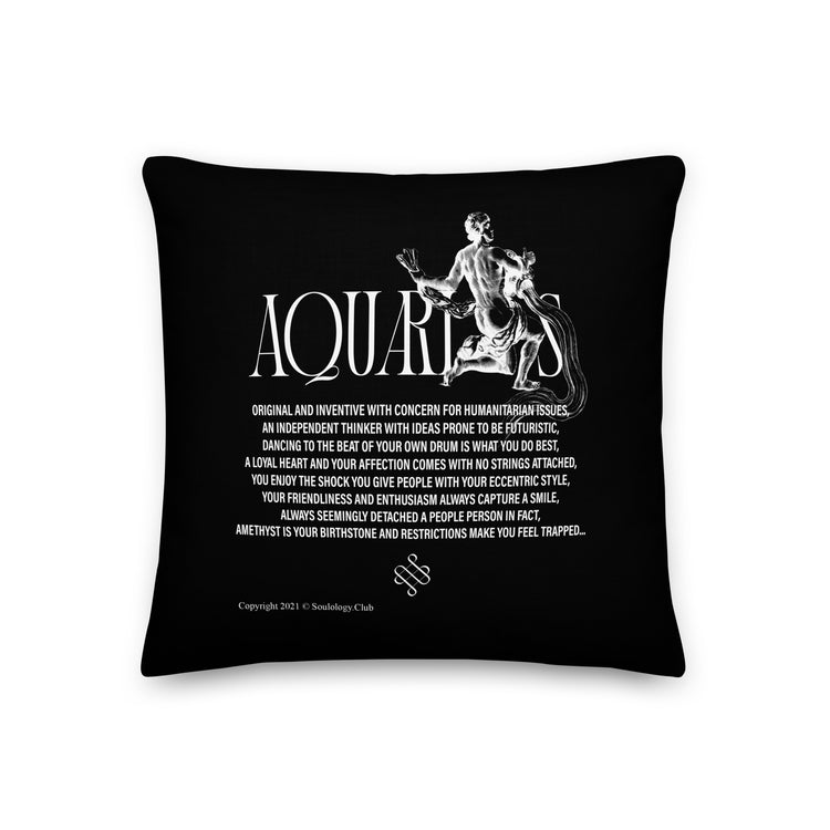 Aquarius Poetry Lounge Pillow