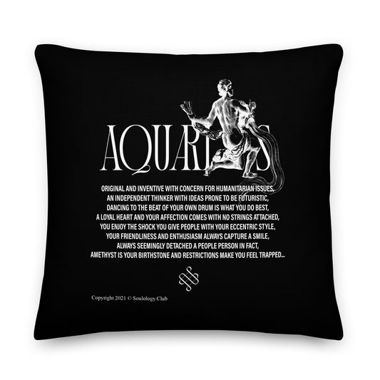 Aquarius Poetry Lounge Pillow